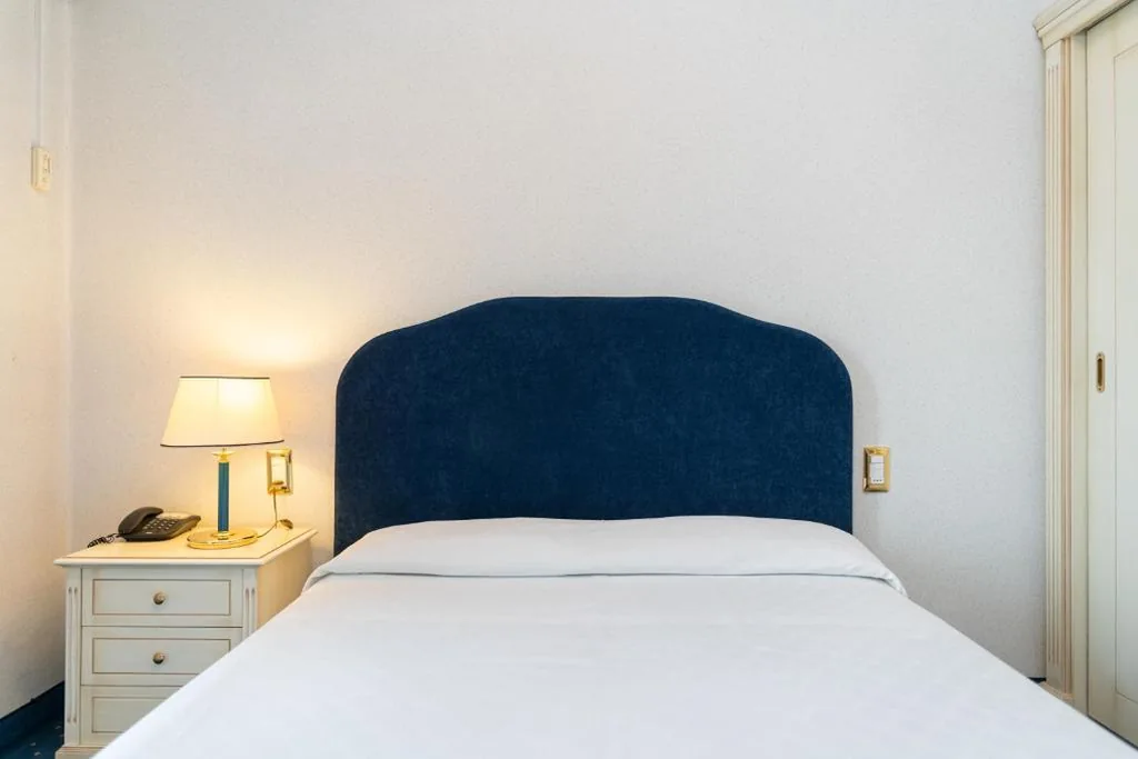 Deluxe Single Room with Balcony — Hotel Ariston Molino Buja