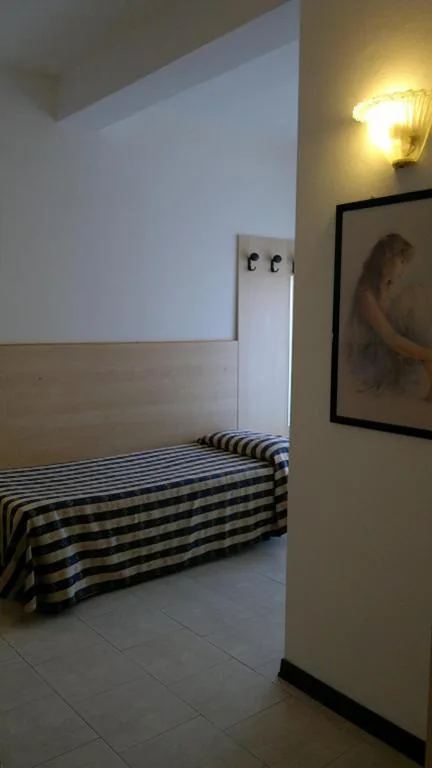 Single Room — Hotel Erika