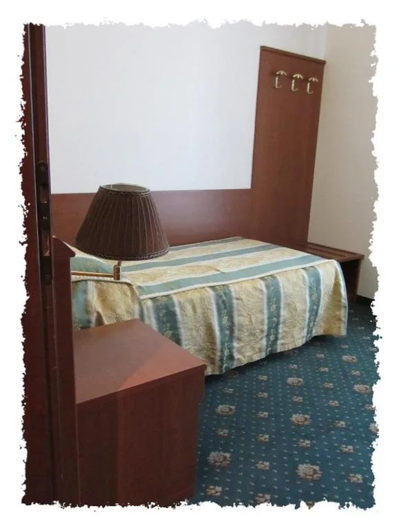 Single Room — Hotel Green castellani