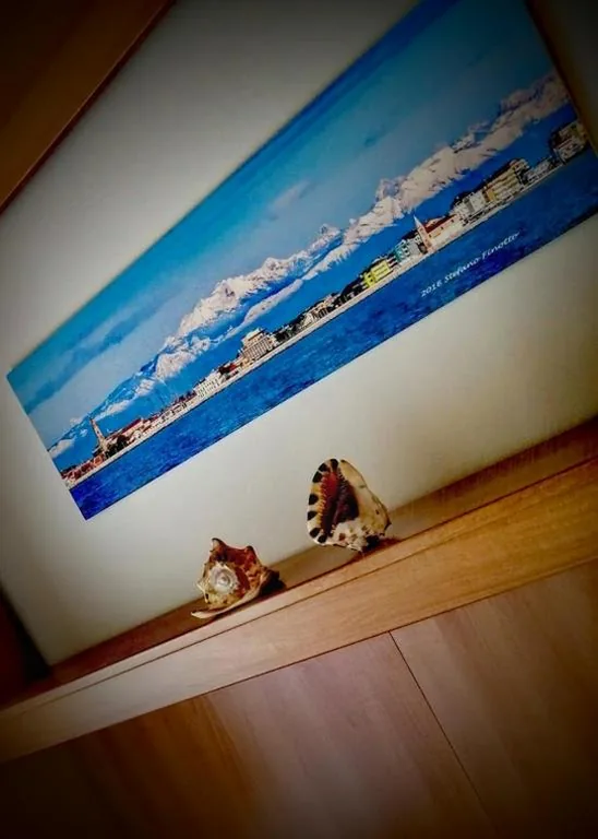 Camera Standard Matrimoniale/Doppia con Letti Singoli — Hotel Souvenir