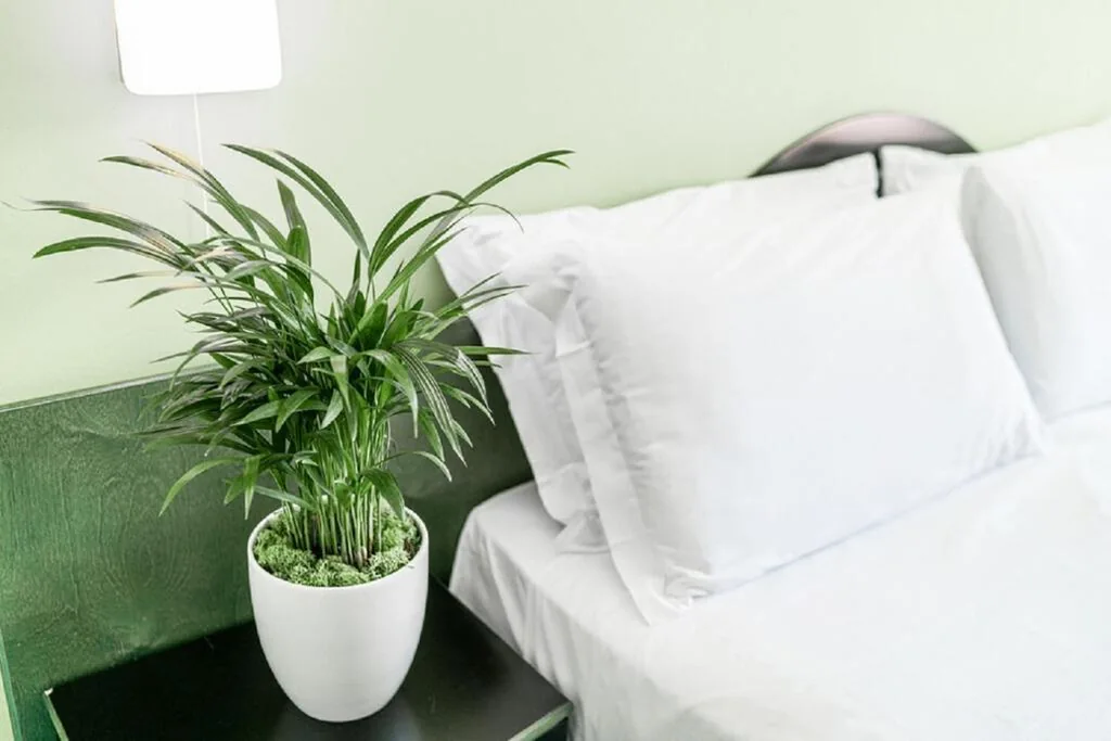 Two Connecting Rooms (4-7 People) — Hotel Medusa Splendid