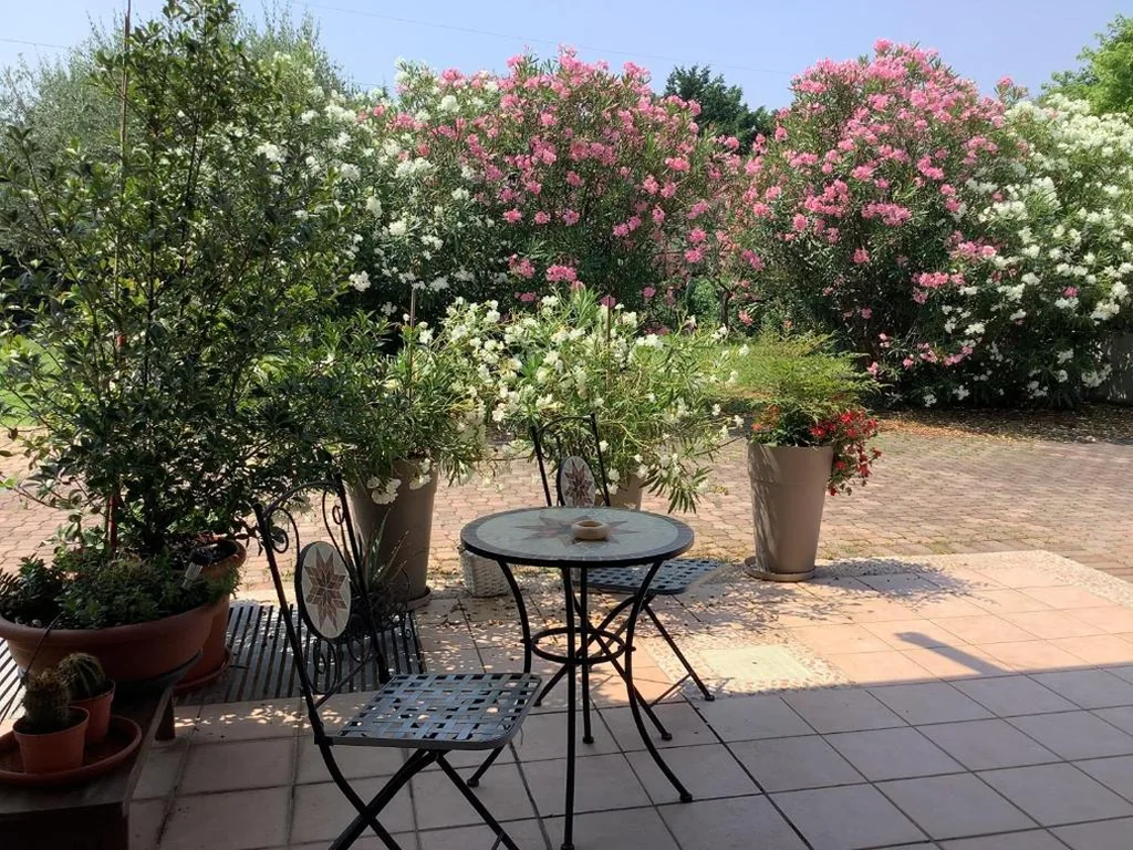 Edys Family Home — foto 5