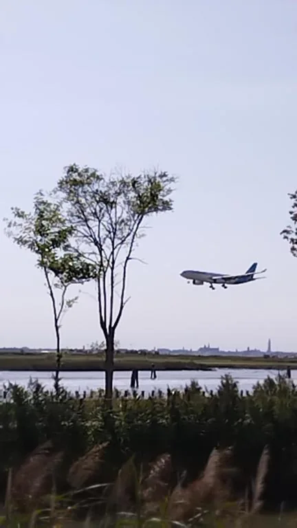 “Fly to Venice” Airport — foto 4