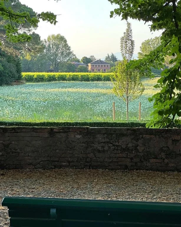 Foresteria Di Villa Tiepolo Passi — foto 6
