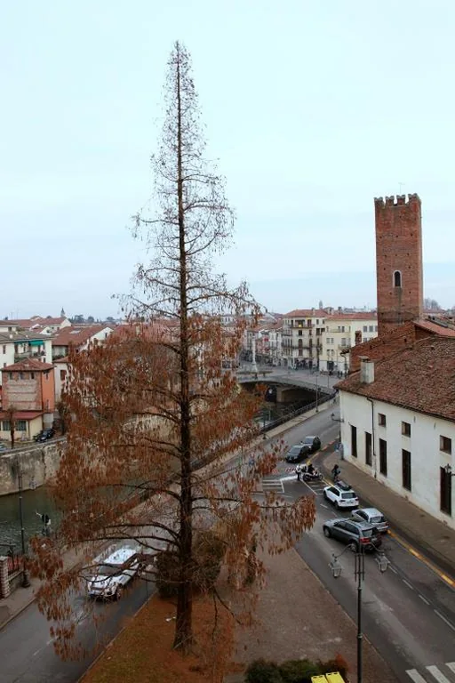 Guest House Ca’ Lou al Teatro