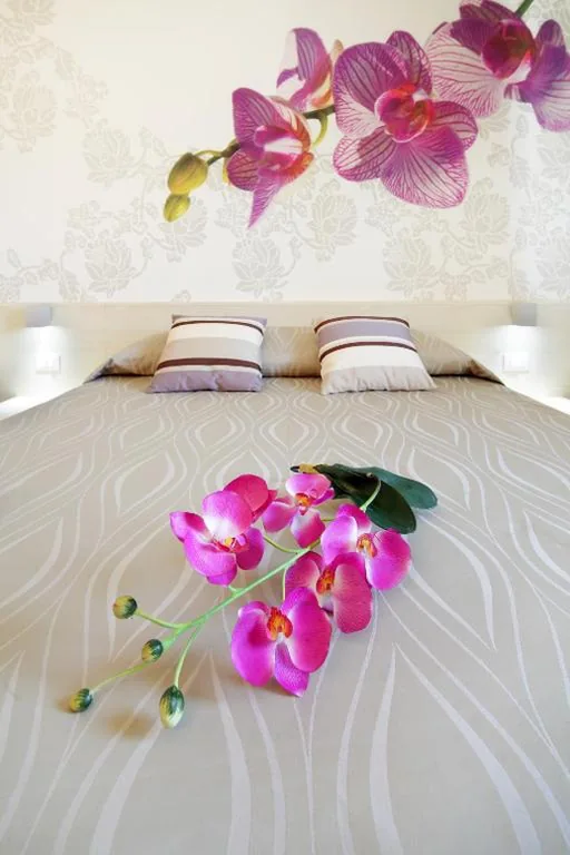 Hotel Alex