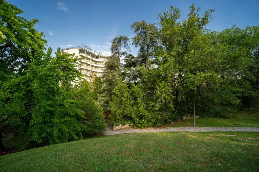 Hotel Ariston Molino Buja — foto 7