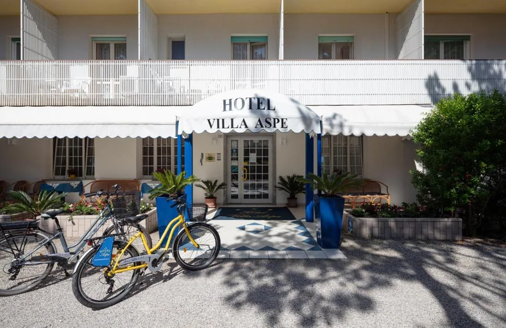 Hotel Aspe — foto 3