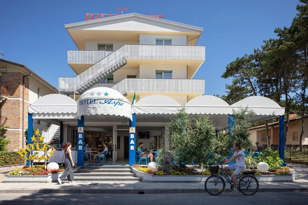 Hotel Aspe — foto 4