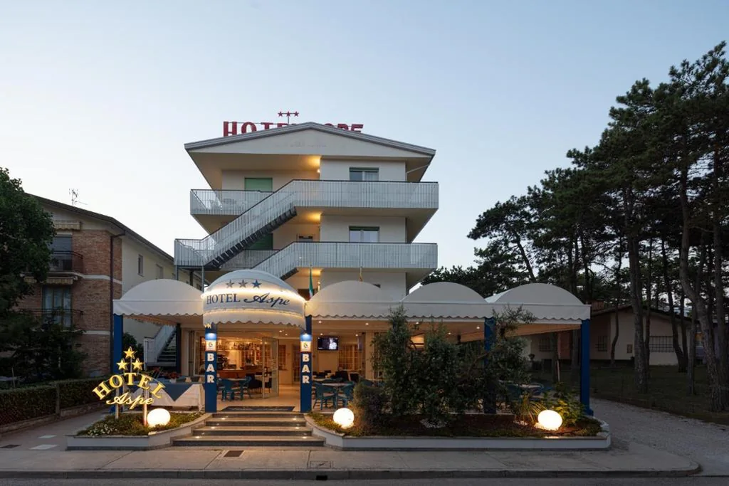 Hotel Aspe — foto 7