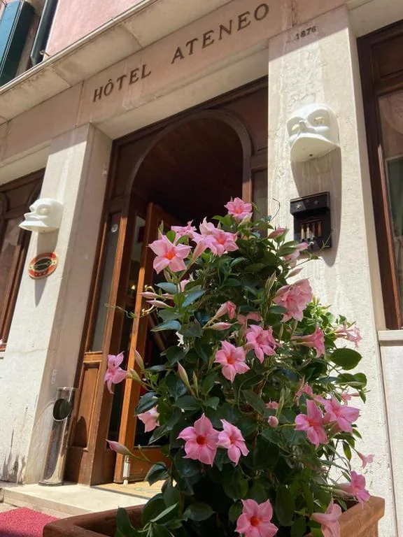 Hotel Ateneo — foto 5