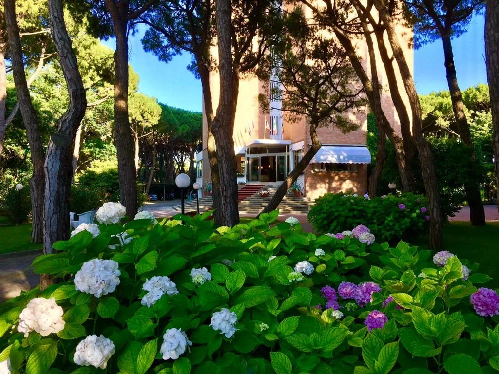 Hotel Beau Rivage Pineta — foto 8
