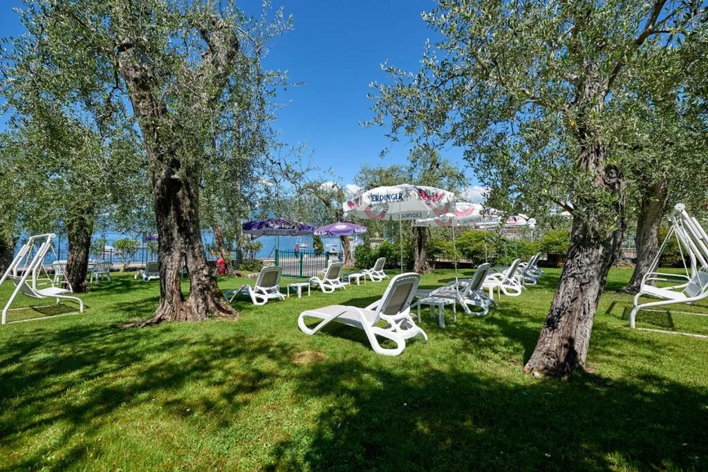 Hotel Benacus Torri del Benaco — foto 6