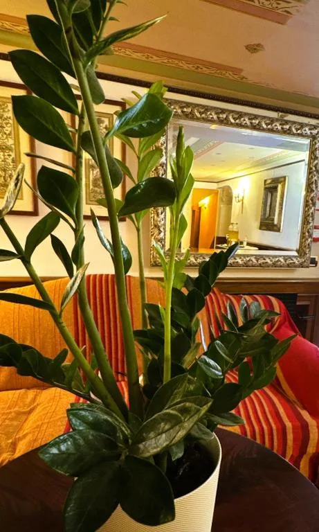 Hotel Corte Contarina — foto 7