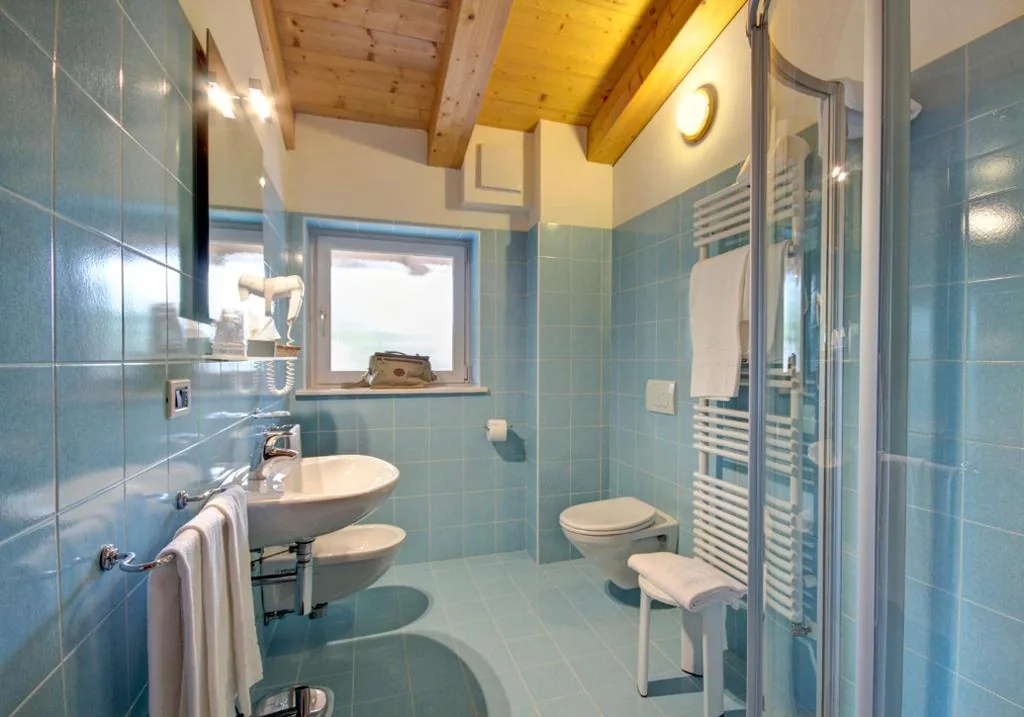 Hotel Des Alpes — foto 5
