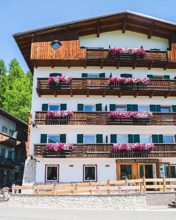 Hotel Des Alpes — foto 6