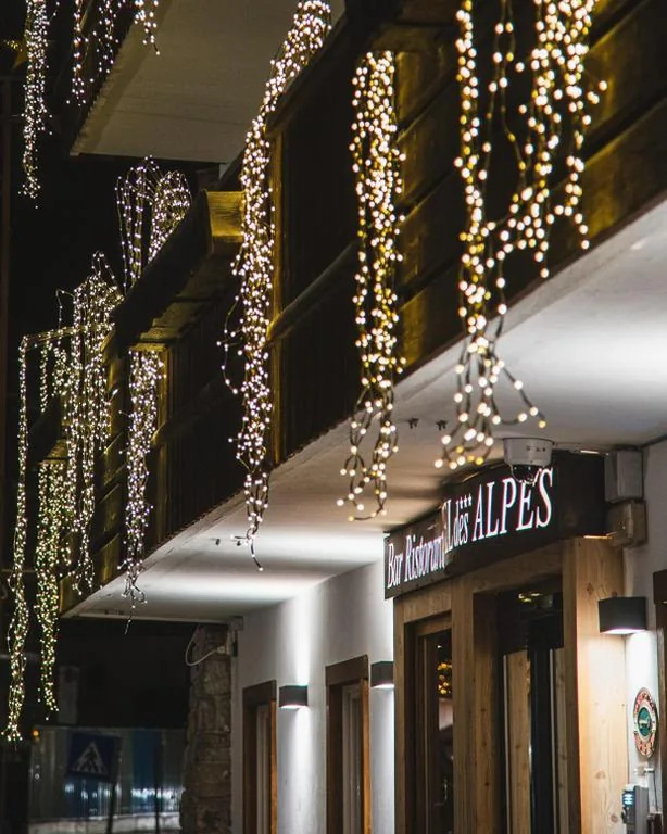 Hotel Des Alpes — foto 7