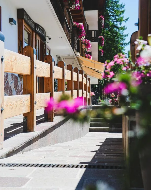 Hotel Des Alpes — foto 8