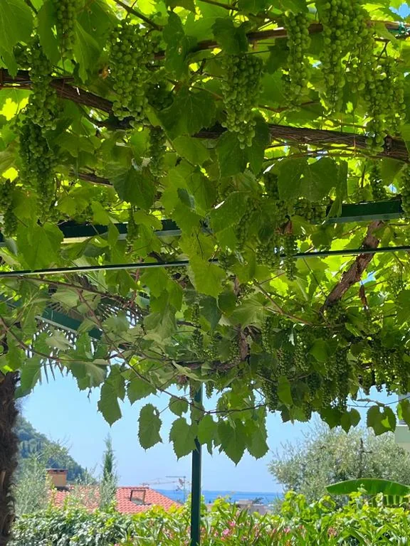 Hotel Giotto — foto 8