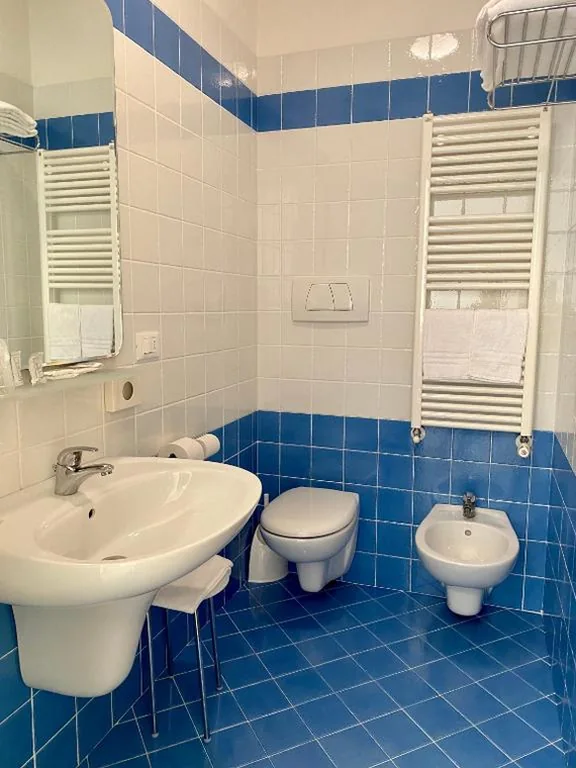 Hotel Ivana — foto 8