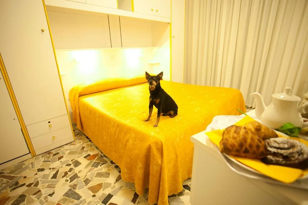 Hotel Medusa — foto 5