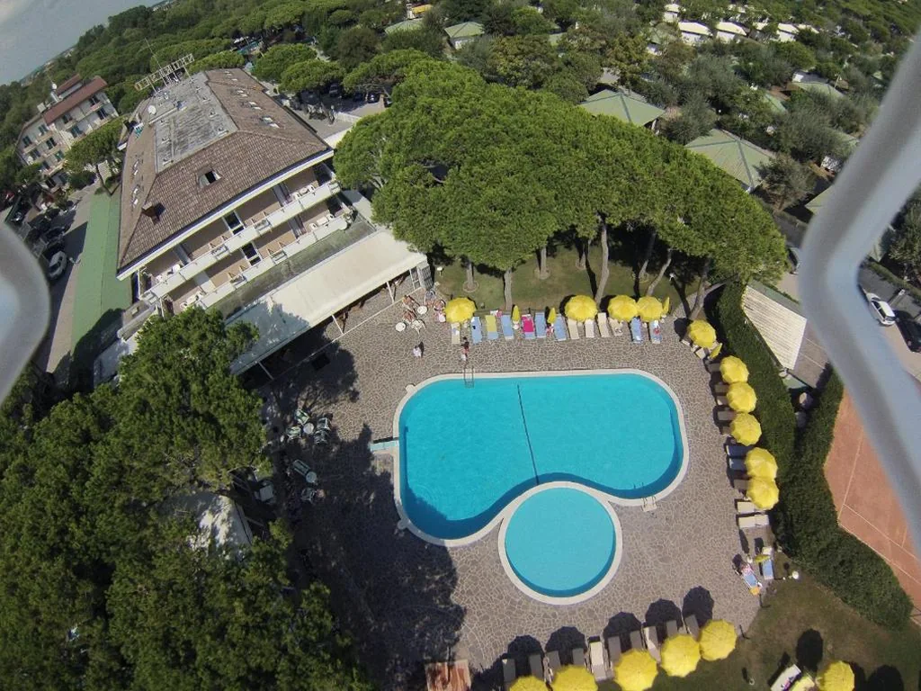 Hotel Negresco — foto 8