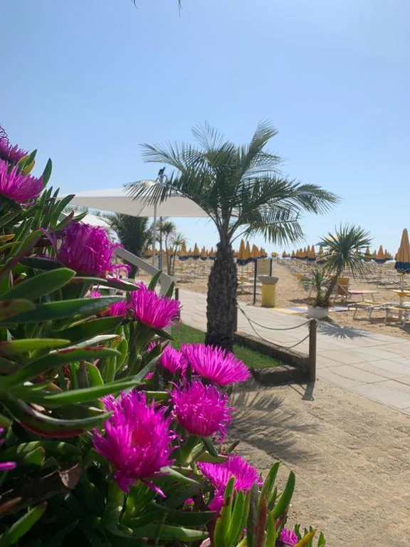 Hotel Nizza Frontemare Superior 3 Stelle — foto 8
