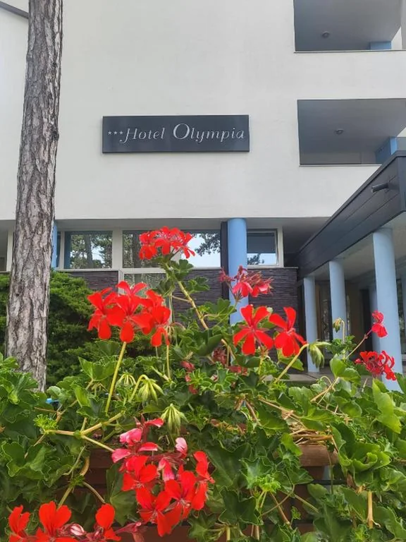 Hotel Olympia — foto 7