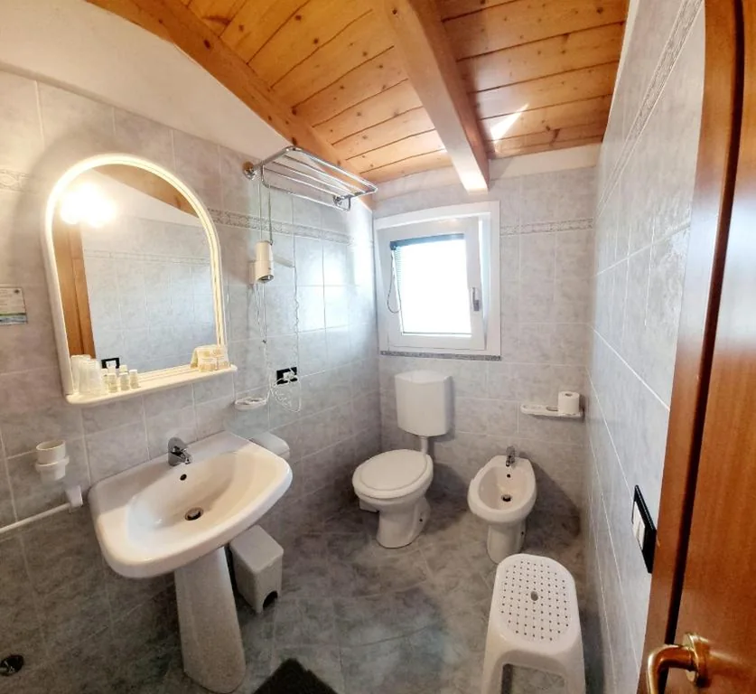 Hotel Orchidea — foto 6