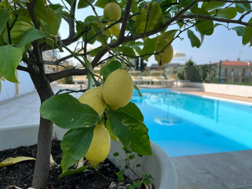 Hotel Renata