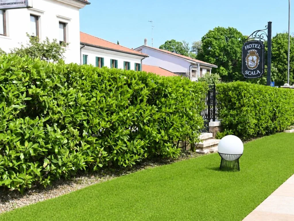 Hotel Scala – Buongiorno! Hotels