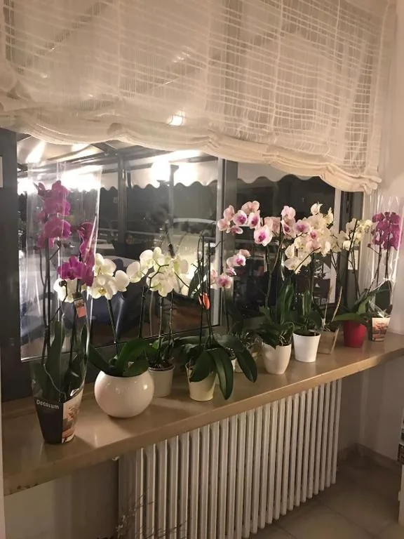 Hotel Smeraldo — foto 8