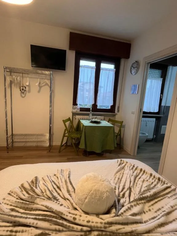 Il Gatto e il Cocker — foto 5
