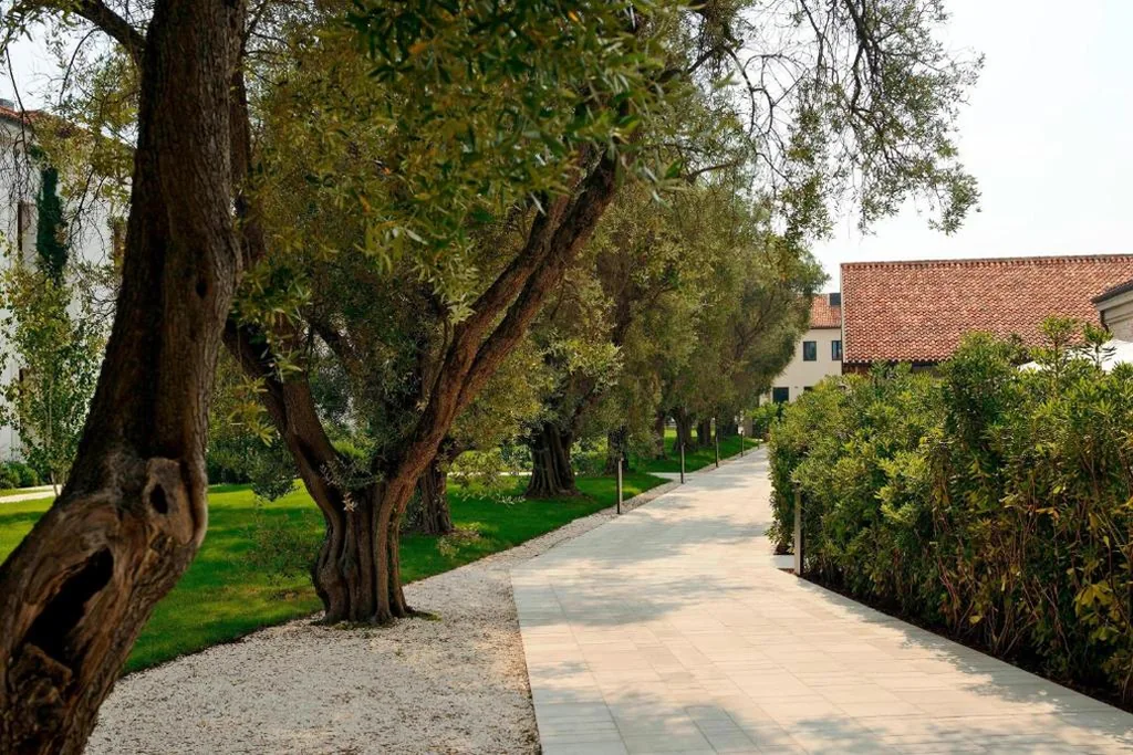 JW Marriott Venice Resort & Spa — foto 4