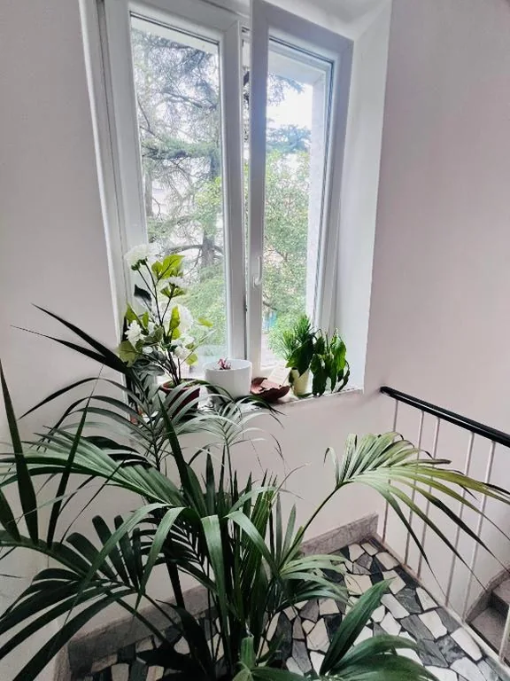 L’affitta Camere di Venezia — foto 5