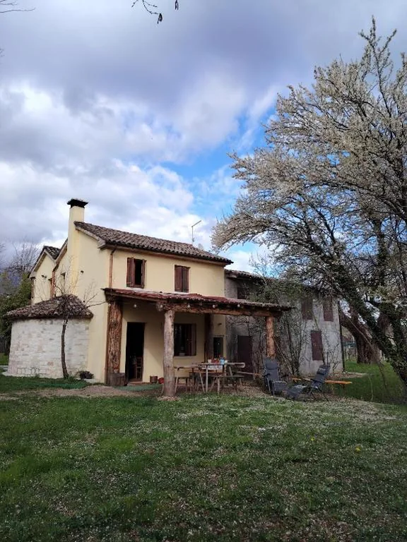 La Caneveta al Piave — foto 5