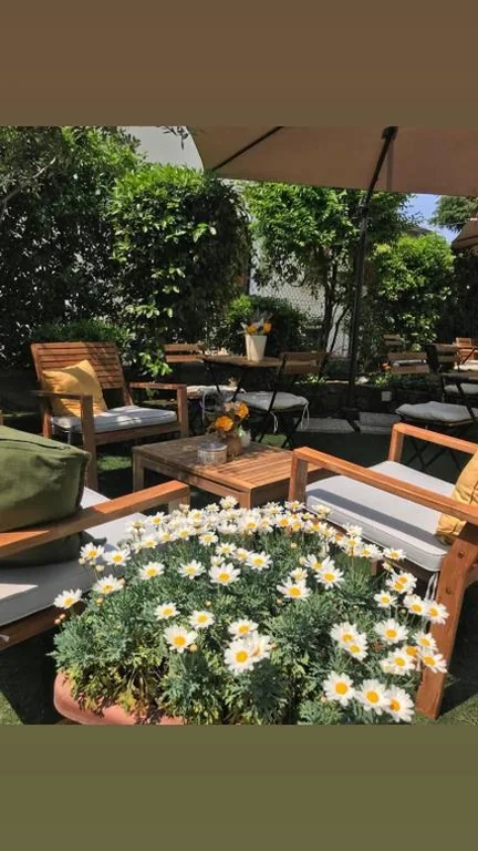 La Magnolia – House — foto 6