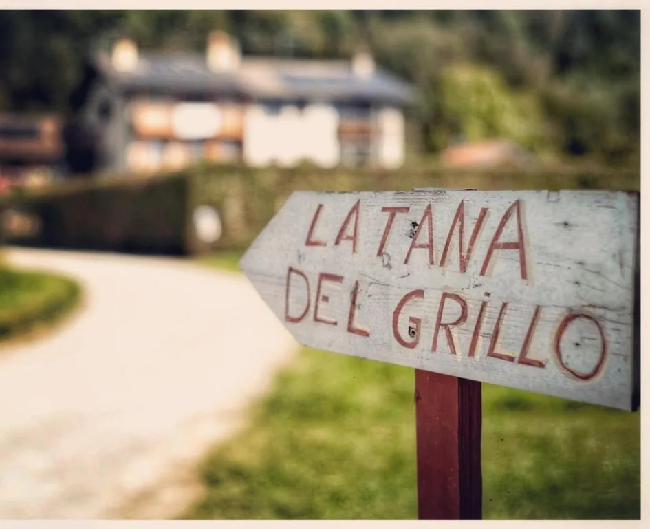 LA TANA DEL GRILLO — foto 7