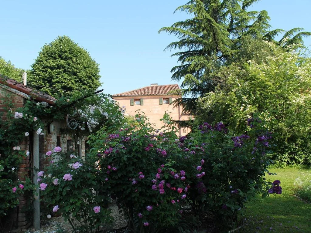 La Vigna B&B — foto 4