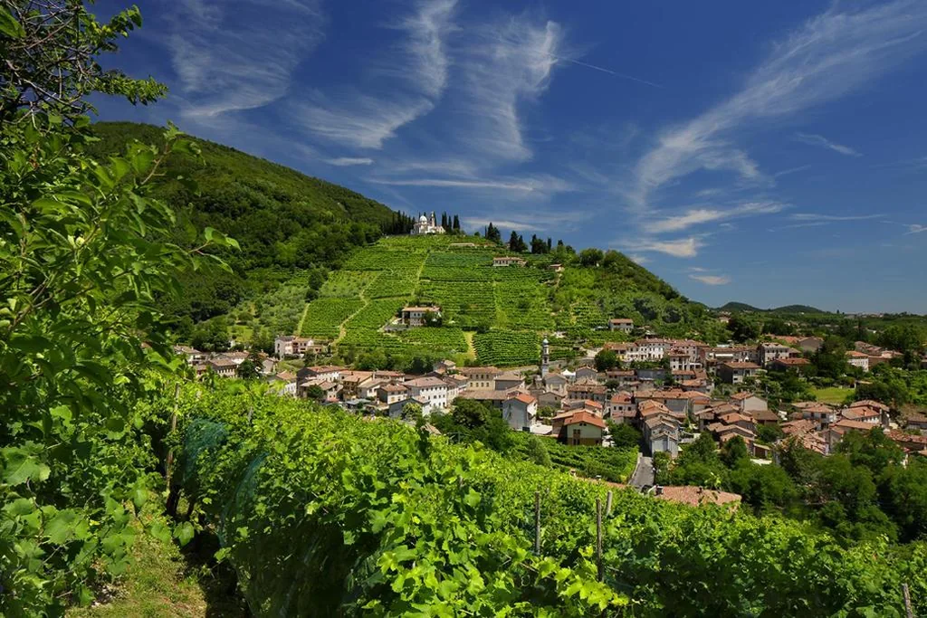 Le Zitelle di Ron — foto 8