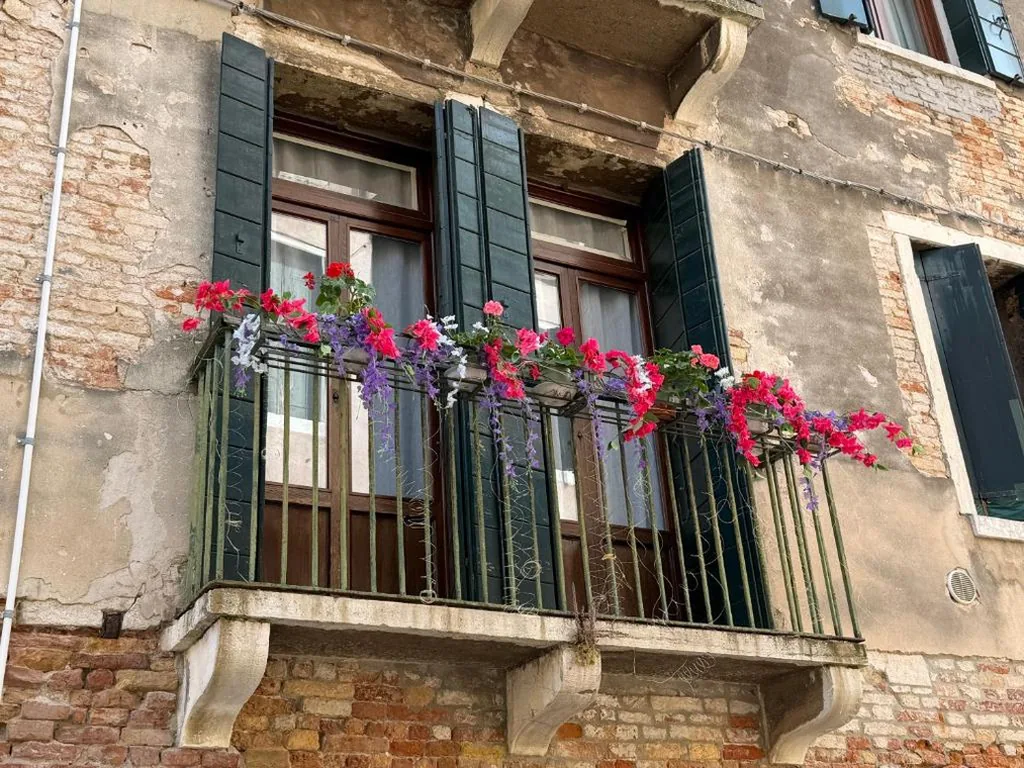 Lions Venice Guest house — foto 3