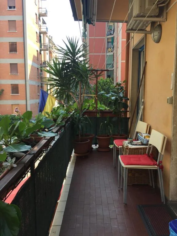 locazione turistica Sole — foto 5