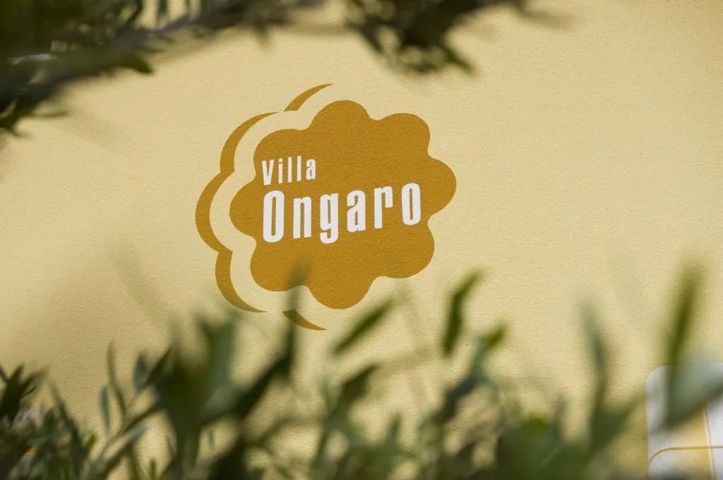 Monolocale — Villa Ongaro 2