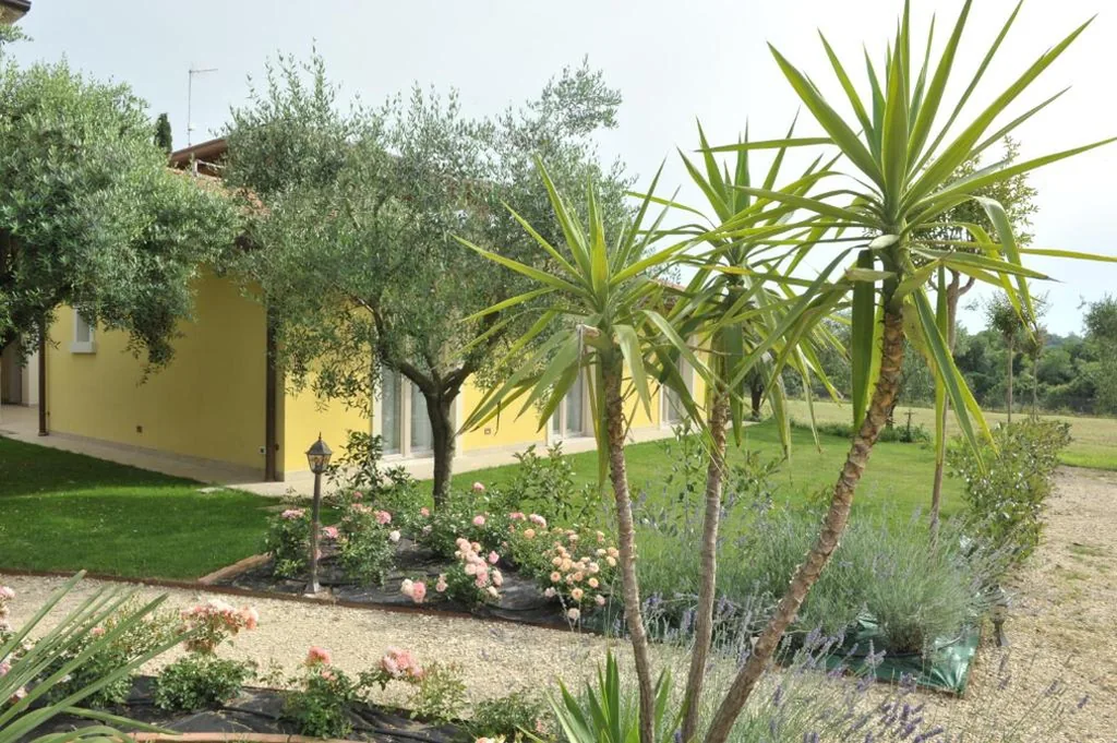 Paradiso degli Ulivi B&B — foto 6