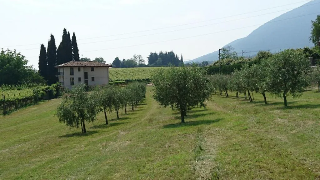 Rama Relais — foto 7