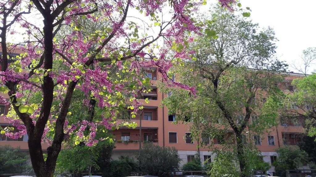 Romeo & Juliet Non-Hotel — foto 5
