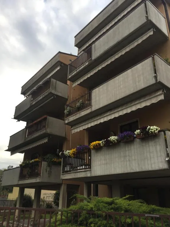 Roof Pellegrini — foto 5