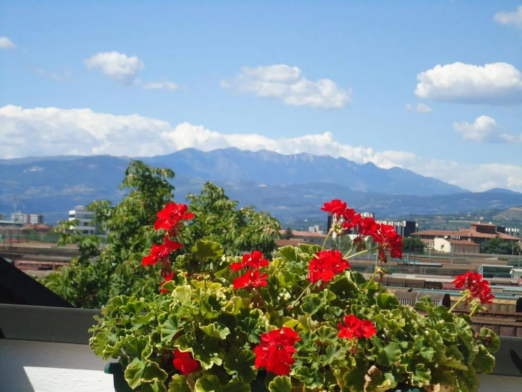 Spagna B&B — foto 5