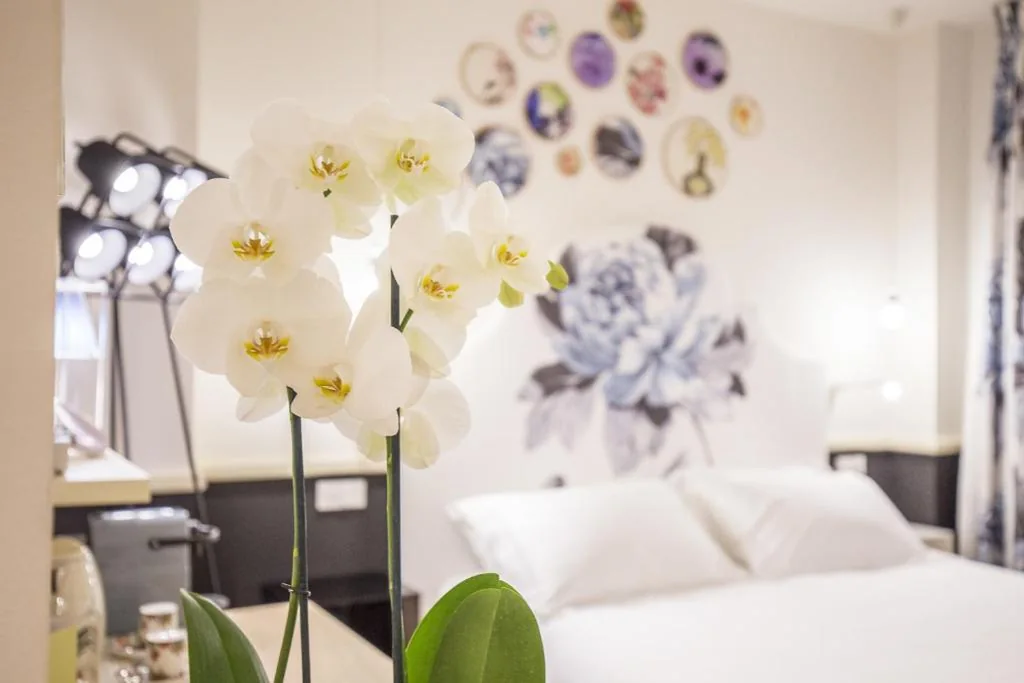 Suite — Cinque Rooms