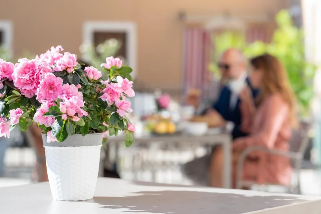 Villa di Cazzano – BioLuxury Living — foto 5
